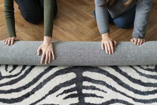 Area Rug Cleaning Chicago